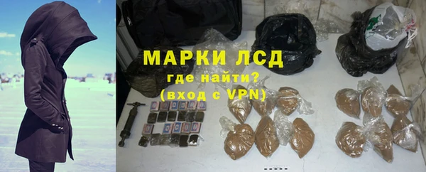 спайс Гусев