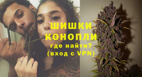 альфа пвп Гусиноозёрск