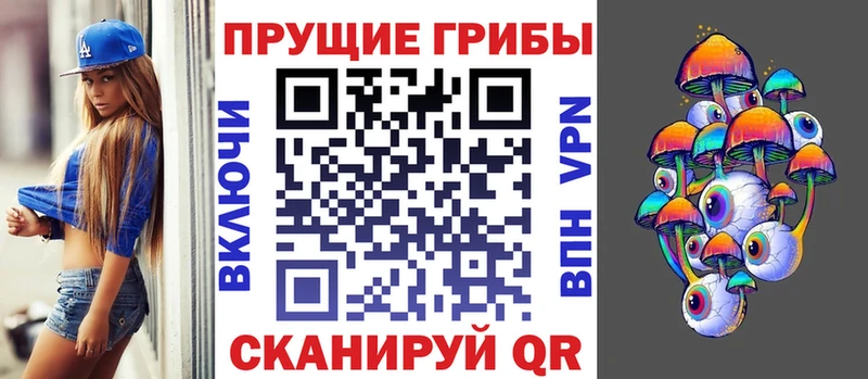 Купить закладки  Кодинск  Псилоцибиновые грибы MAGIC MUSHROOMS 